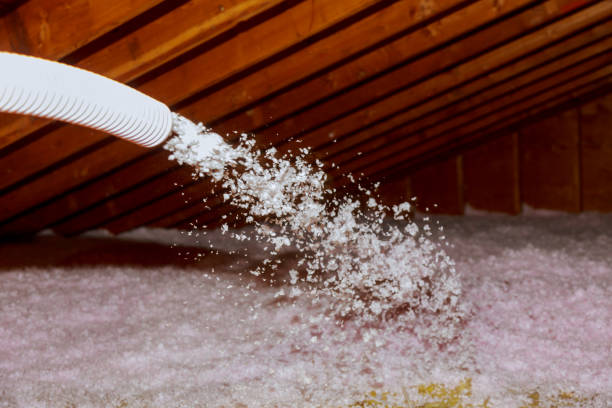Best Spray Foam Insulation in Terville, WA